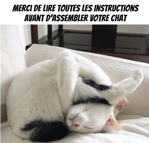 Dix Mèmes Et Illustrations De Chats Qui Nous Font Rire